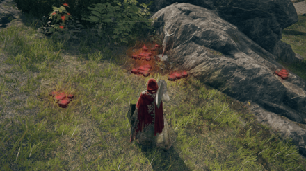 Invasion Signs Elden Ring.png