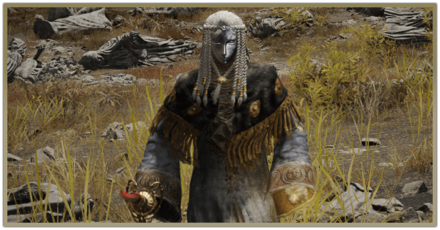 Elden Ring - Obtained After Defeating Maleigh Marais Overworld