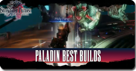 Final Fantasy Origin - Stranger of Paradise - Paladin Best Builds