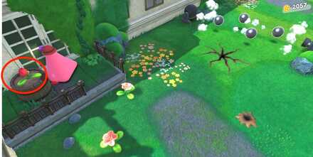 Kirby - Bloom the 3rd tulip