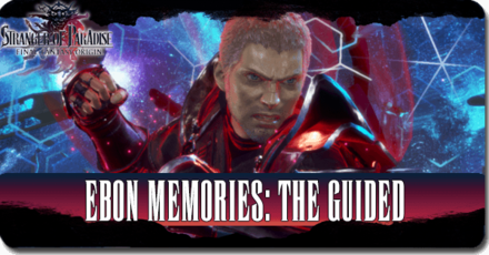 Final Fantasy Origin - Stranger of Paradise - Ebon Memories The Guided