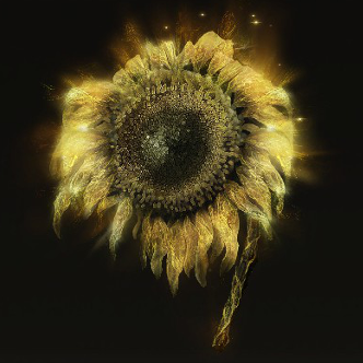 Golden Sunflower Icon