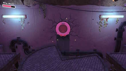 Kirby - Rescue the 1st hidden Waddle Dee