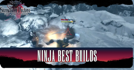 Stranger of Paradise - Ninja Best Builds
