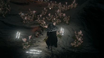 Elden Ring - Rotten Winged Sword Location.png