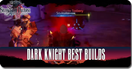Final Fantasy Origin - Stranger of Paradise - Dark Knight Best Builds