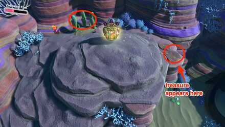 Kirby - Find the treasure hiding by cactus triplets