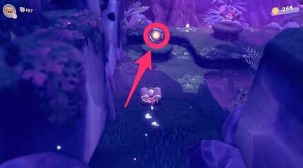 Piece of Leons Soul.jpg