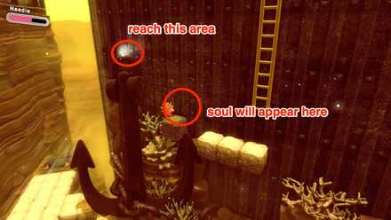 Leon Soul Area 4 Soul 9