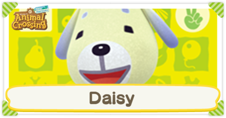 Animal Crossing New Horizons (ACNH) - Daisy