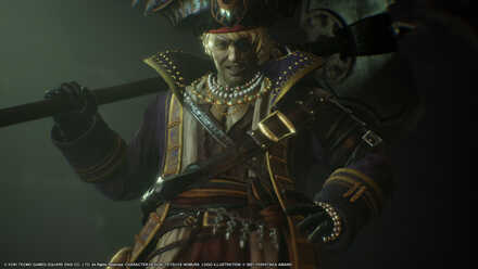 Pirate Captain Bikke