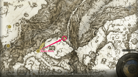 Elden Ring - How to Get Briars of Punishment.png