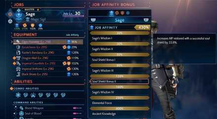 Sage and Void Knight