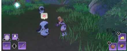 Meeting a new animal