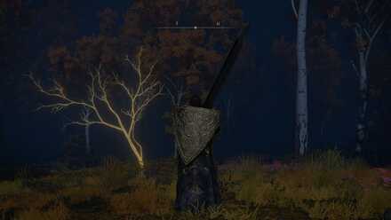 Elden Ring - Golden Seed 27 - North of Minor Erdtree Overworld Location