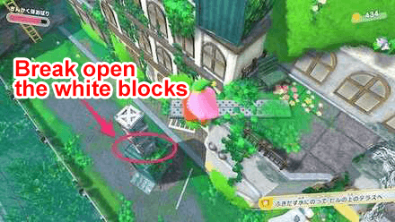 Kirby - Grab the 2nd figure