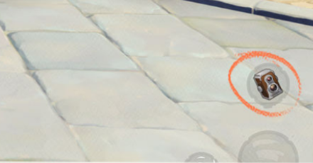 Genshin - How to take a Photo