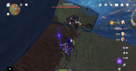 Genshin Impact - Pick Up the Flower of Farsight