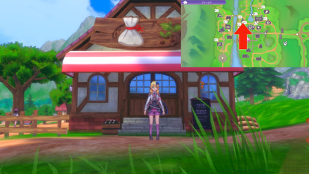 RF5 - Serendipity General Store