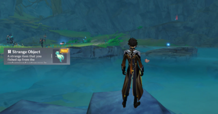 Genshin - How to Get the Strange Object