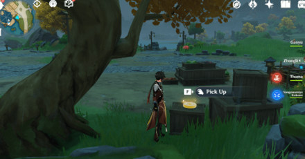 Genshin - Spincrystal 32 Location