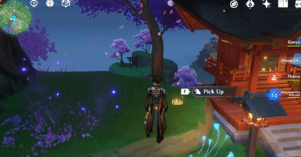 Genshin - Spincrystal 47 Location