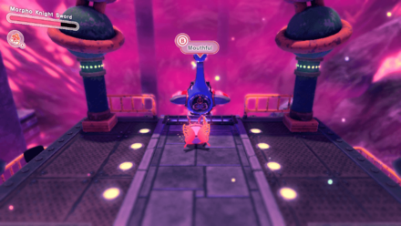 Kirgby Forgo Zone Roller Coaster Location