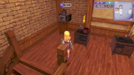 Rune Factory 5 - Pot