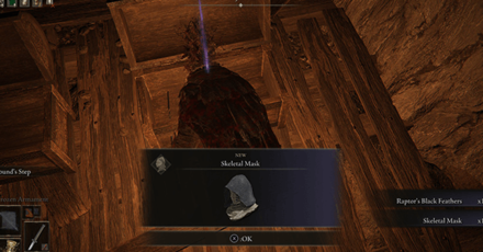 Elden Ring - Located Inside a Chest in Sage