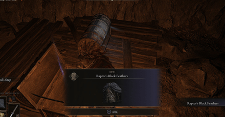 Elden Ring - Located Inside a Chest in Sage