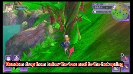 Tree Seeds - Kelve Volcanic Region Hot Spring Location.png