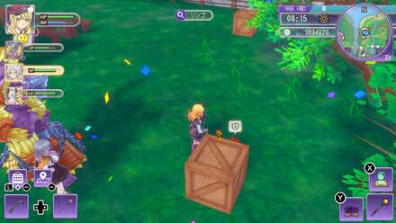 Tree Seeds - Fruit Found in Box.jpeg