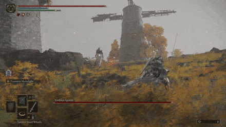 Black Fireball - Godskin Apostle - Elden Ring