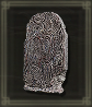 Fingerprint Stone Shield Icon