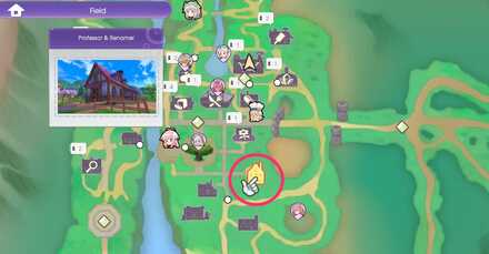 Professor and Renamer