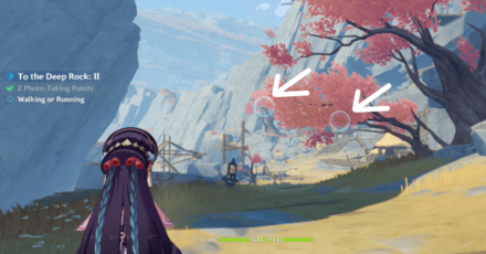 Genshin - Outside the Canvas Inside the Lens Day 6 - Photo-Taking Point