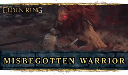 Elden Ring Misbegotten Warrior