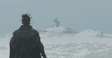 Elden Ring - Obtained by Defeating a Rotten Duelist Overworld