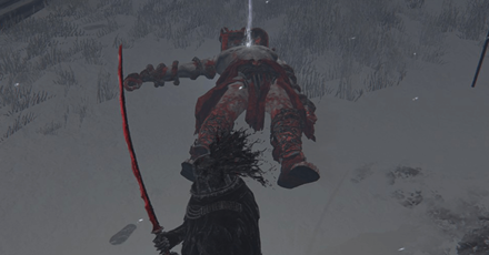 Elden Ring - Obtained by Defeating a Rotten Duelist Overworld