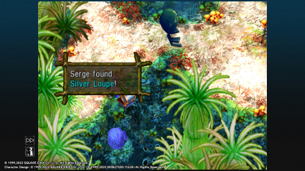 Silver Loupe Location