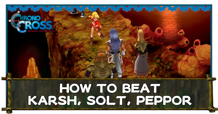 Karsh Solt Peppor Banner