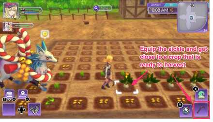 Use the sickle on ready to harvest plants