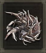 Spiralhorn Shield Image