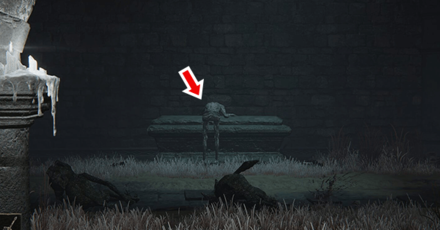 Elden Ring - Minor Erdtree Catacombs Overworld