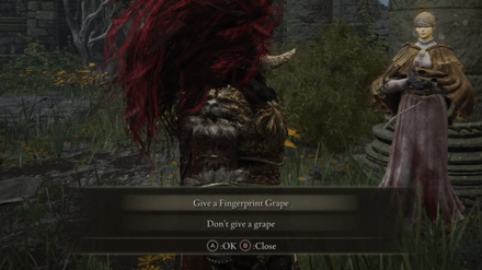 Give Hyetta a Fingerprint Grape