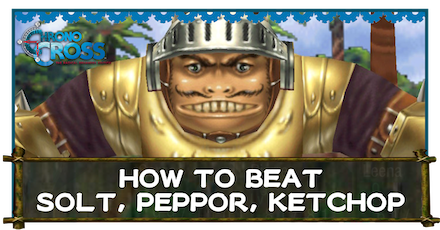 Solt Peppor Ketchop Banner