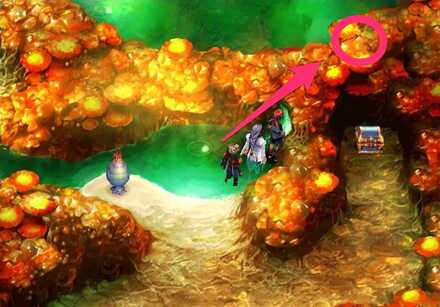 Good Backbone location.jpg