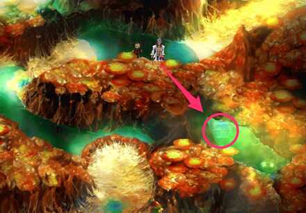 Bat Eye Location.jpg