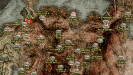 Minor Erdtree Catacombs Location