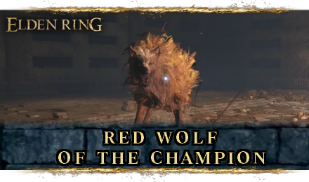 Red Wolf of the Champion Boss Guide - Elden Ring
